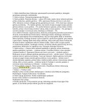 Personalo vadyba. Referatas 12 puslapis