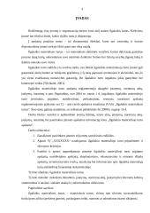 Ilgalaikio materialiojo turto apskaita 2 puslapis