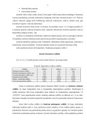 Ilgalaikio materialiojo turto apskaita 5 puslapis