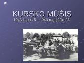 Kursko ir Stalingrado mūšiai 2 puslapis