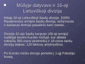 Kursko ir Stalingrado mūšiai 12 puslapis