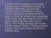 Kursko ir Stalingrado mūšiai 5 puslapis