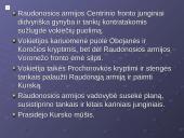 Kursko ir Stalingrado mūšiai 9 puslapis