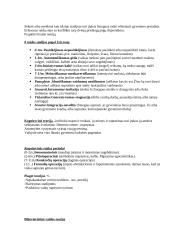 Raidos psichologija. Pagrindinės teorijos 2 puslapis