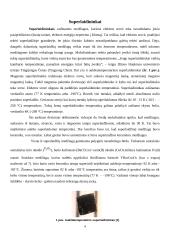 Superlaidininkai. Referatas 4 puslapis