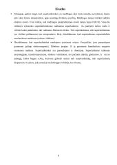 Superlaidininkai. Referatas 8 puslapis