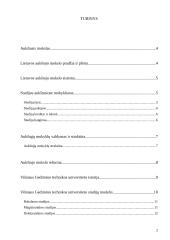 Automatikos studijos 2 puslapis