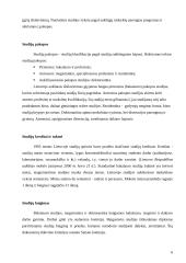 Automatikos studijos 6 puslapis