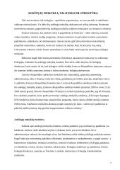 Automatikos studijos 7 puslapis