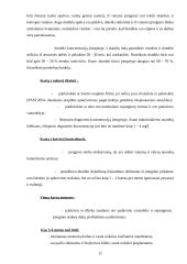 Sodybos inžinerinių sistemų įrengimas 11 puslapis