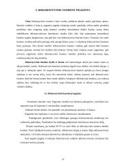 Sodybos inžinerinių sistemų įrengimas 13 puslapis