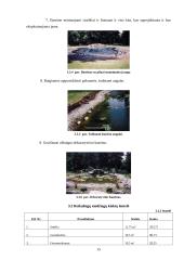 Sodybos inžinerinių sistemų įrengimas 15 puslapis