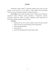 Sodybos inžinerinių sistemų įrengimas 4 puslapis