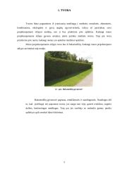 Sodybos inžinerinių sistemų įrengimas 5 puslapis