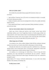 Euro įvedimo problema 11 puslapis