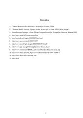 Euro įvedimo problema 17 puslapis