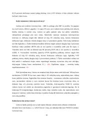 Euro įvedimo problema 10 puslapis