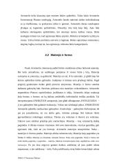 Platono ir Aristotelio būties samprata 11 puslapis