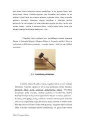 Platono ir Aristotelio būties samprata 12 puslapis