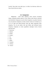 Platono ir Aristotelio būties samprata 13 puslapis