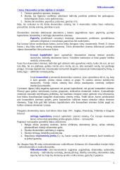 Mikroekonomikos sąvokos 2 puslapis