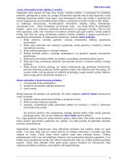 Mikroekonomikos sąvokos 6 puslapis