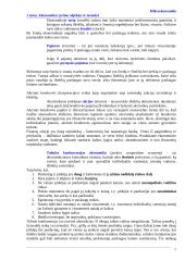 Mikroekonomikos sąvokos 7 puslapis