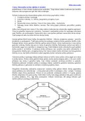 Mikroekonomikos sąvokos 8 puslapis