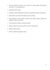 Modernios apdailos technologijos 11 puslapis