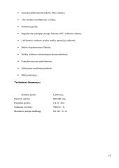 Modernios apdailos technologijos 14 puslapis