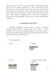 Modernios apdailos technologijos 18 puslapis