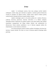 Modernios apdailos technologijos 3 puslapis