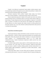 Modernios apdailos technologijos 4 puslapis