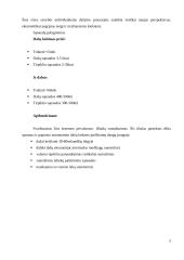 Modernios apdailos technologijos 5 puslapis