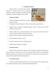 Modernios apdailos technologijos 8 puslapis