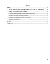 Įmonės reorganizavimas 2 puslapis