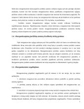 Įmonės reorganizavimas 7 puslapis