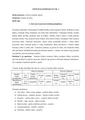Instrumentinis lytėjimas 2 puslapis