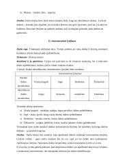 Instrumentinis lytėjimas 3 puslapis