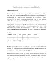 Instrumentinis lytėjimas 4 puslapis