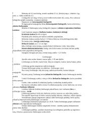 Limfoidinė sistema 2 puslapis