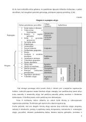 Veiksmingo piniginio ir nepiniginio atlygio derinimo principai 9 puslapis