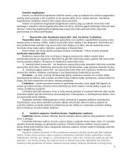 Teisės egzaminas 6 puslapis