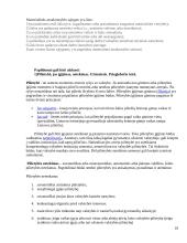 Teisės egzaminas 10 puslapis