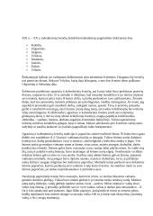 Lietuvių tradicijos ir papročiai 2 puslapis