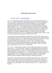 Lietuvių tradicijos ir papročiai 20 puslapis