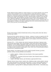 Lietuvių tradicijos ir papročiai 3 puslapis