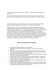 Lietuvių tradicijos ir papročiai 4 puslapis