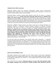 Materialinė žala 17 puslapis