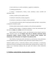 Materialinė žala 9 puslapis